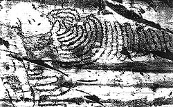 tactigramme d'un labyrinthe à Zurla