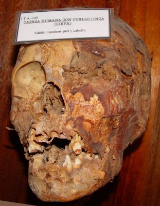 mummified head JTA-240/ photo L. Dubal