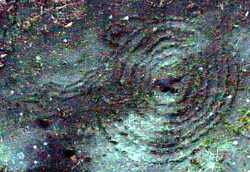 acrsa.jpg (10080 bytes)