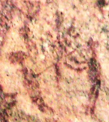 arbre de vie 3 a capivara