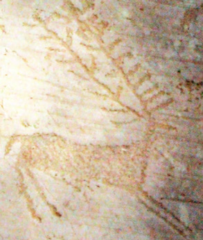 cerf - arbre de vie /photo: L. Dubal