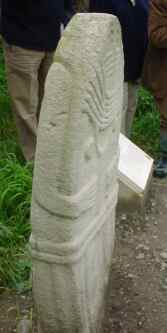 sernin3.jpg (44874 bytes)