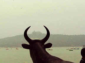 China/ Beijing / photo Dubal
