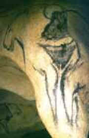 France / Chauvet