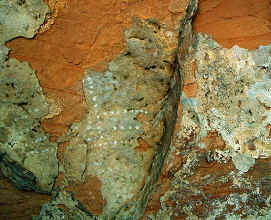 Argentina / Rio Chulin photo Dubal
